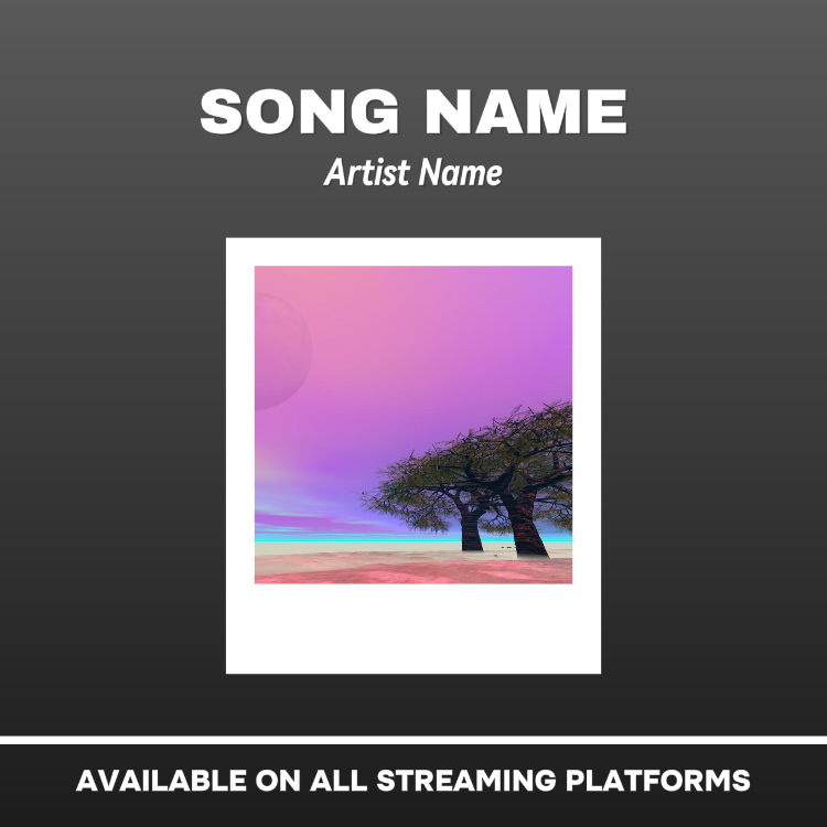 Sin marketing Portada de álbum estilo Polaroid