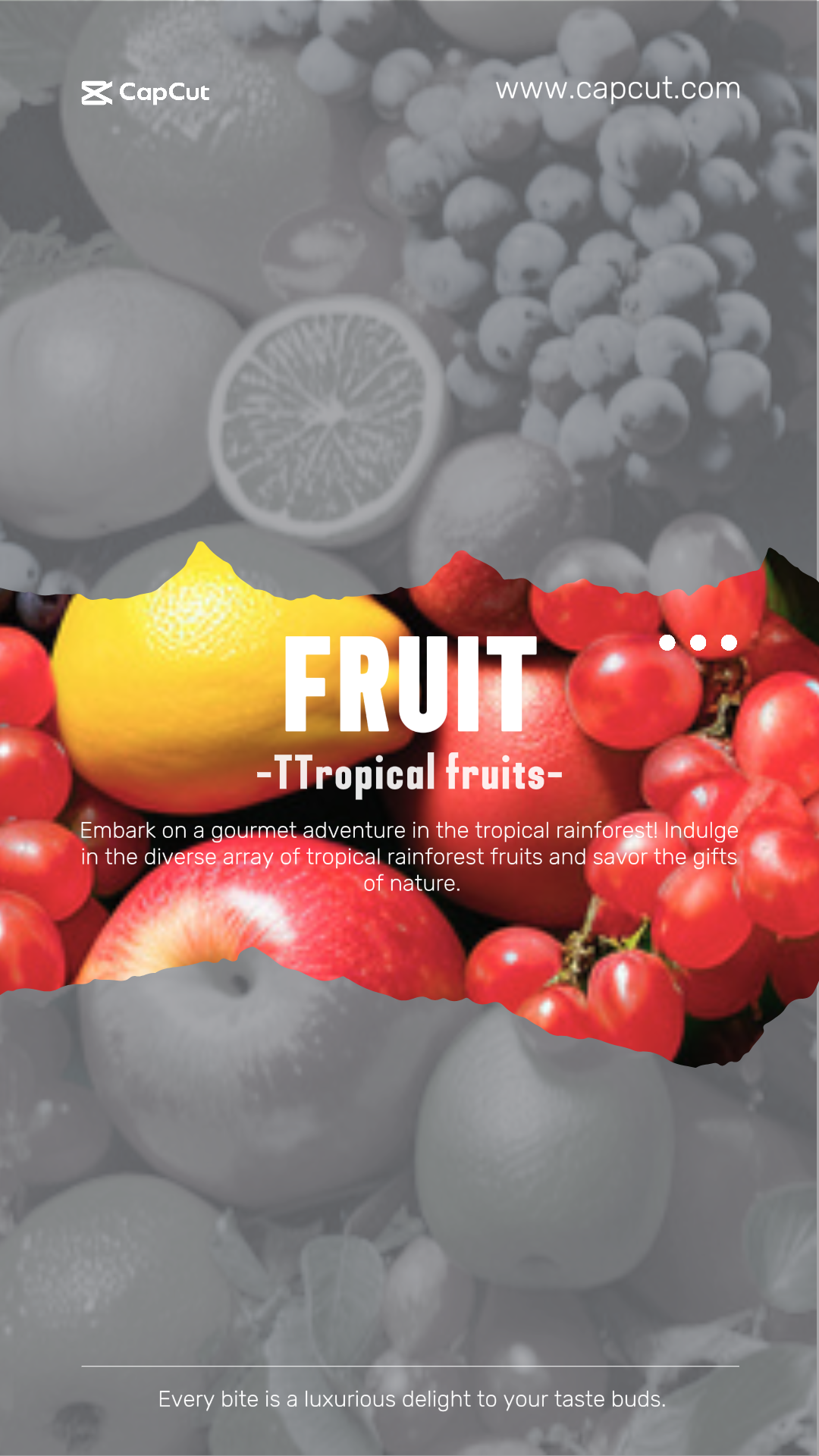 Dienstleistungen Obst Display Minimalis