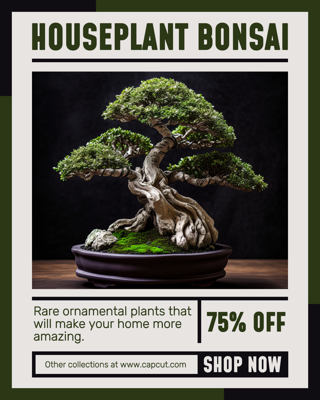 Household and Accessories Houseplant Promotion Instagram Portrait