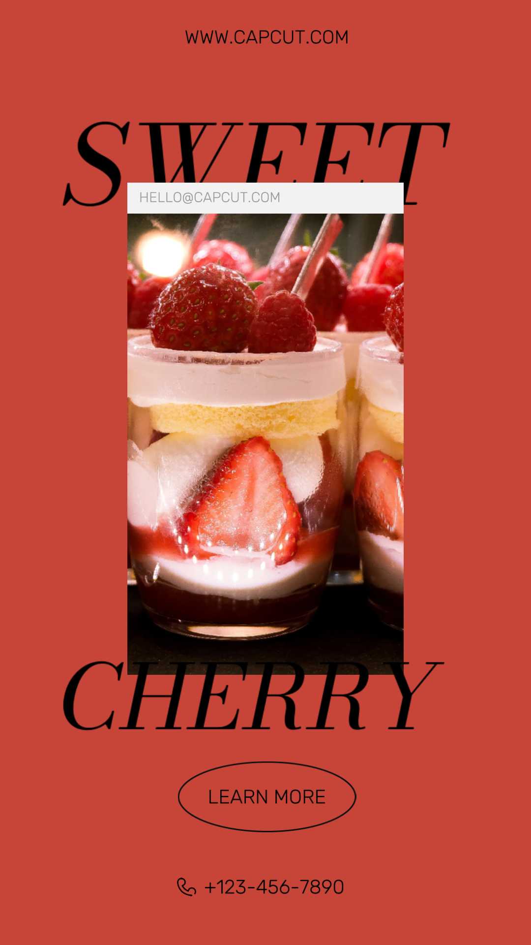 Exhibición De Productos De Registro Diario De Postre Gourmet 