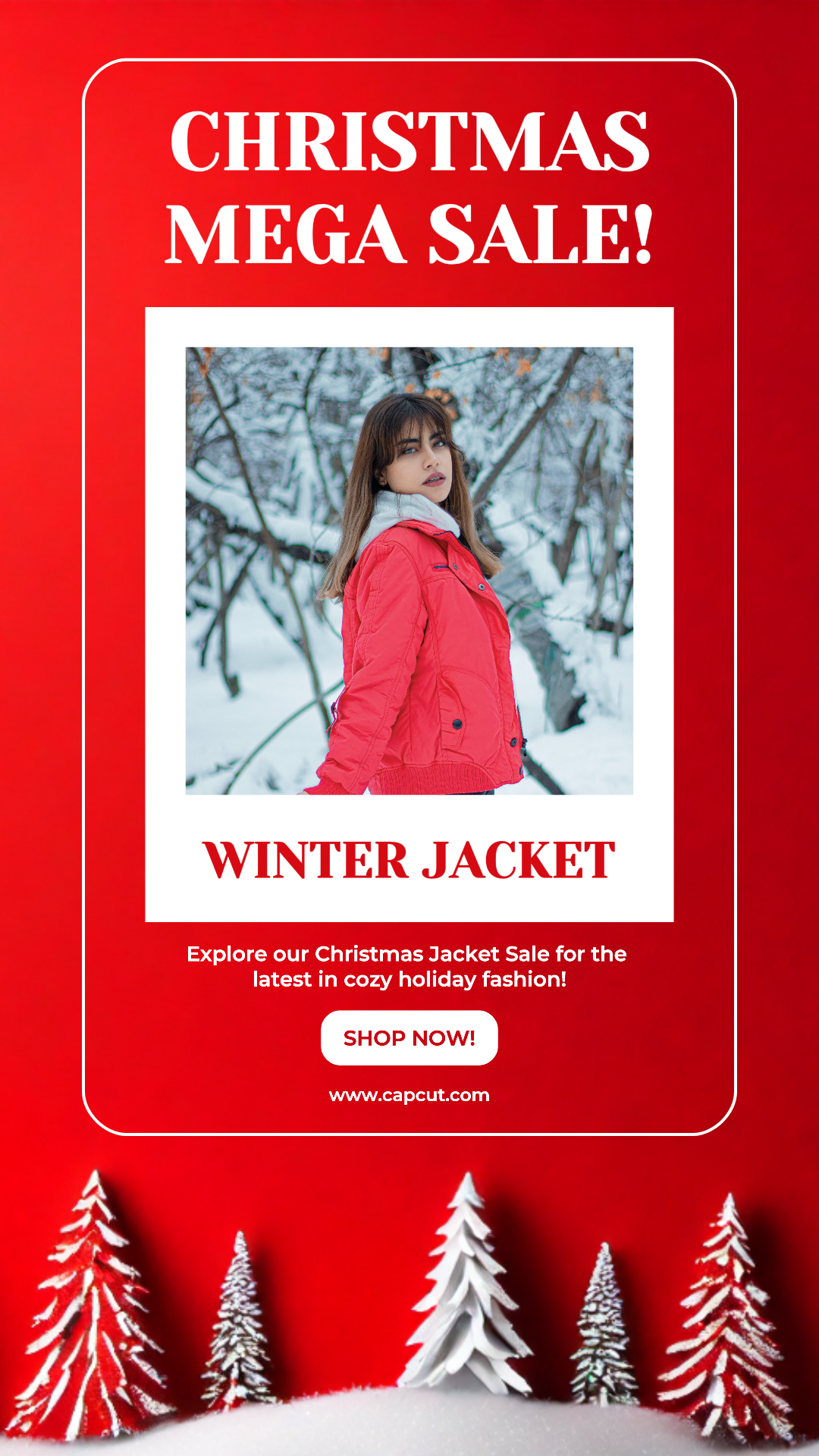 Promo de la méga vente de Noël pour Story