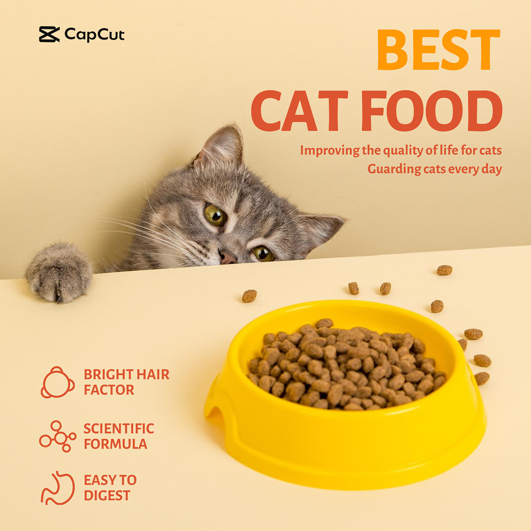 Comercio electrónico Comida para gatos domésticos Introducción de productos Amarillo minimalista