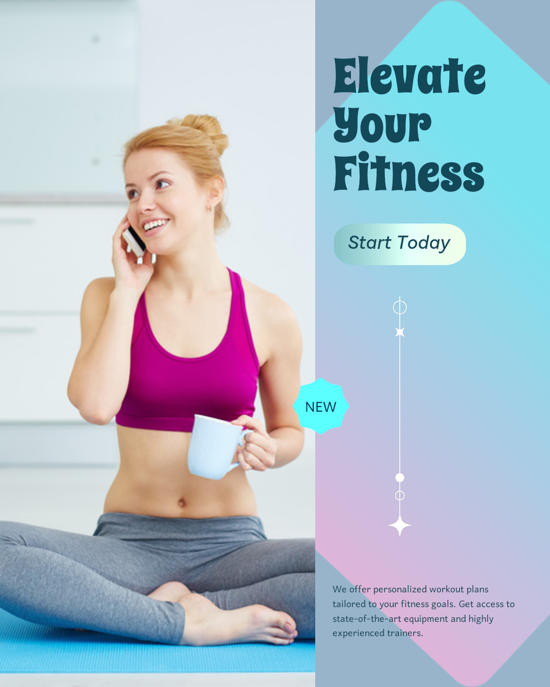 Introdução à Workout & Fitness Company