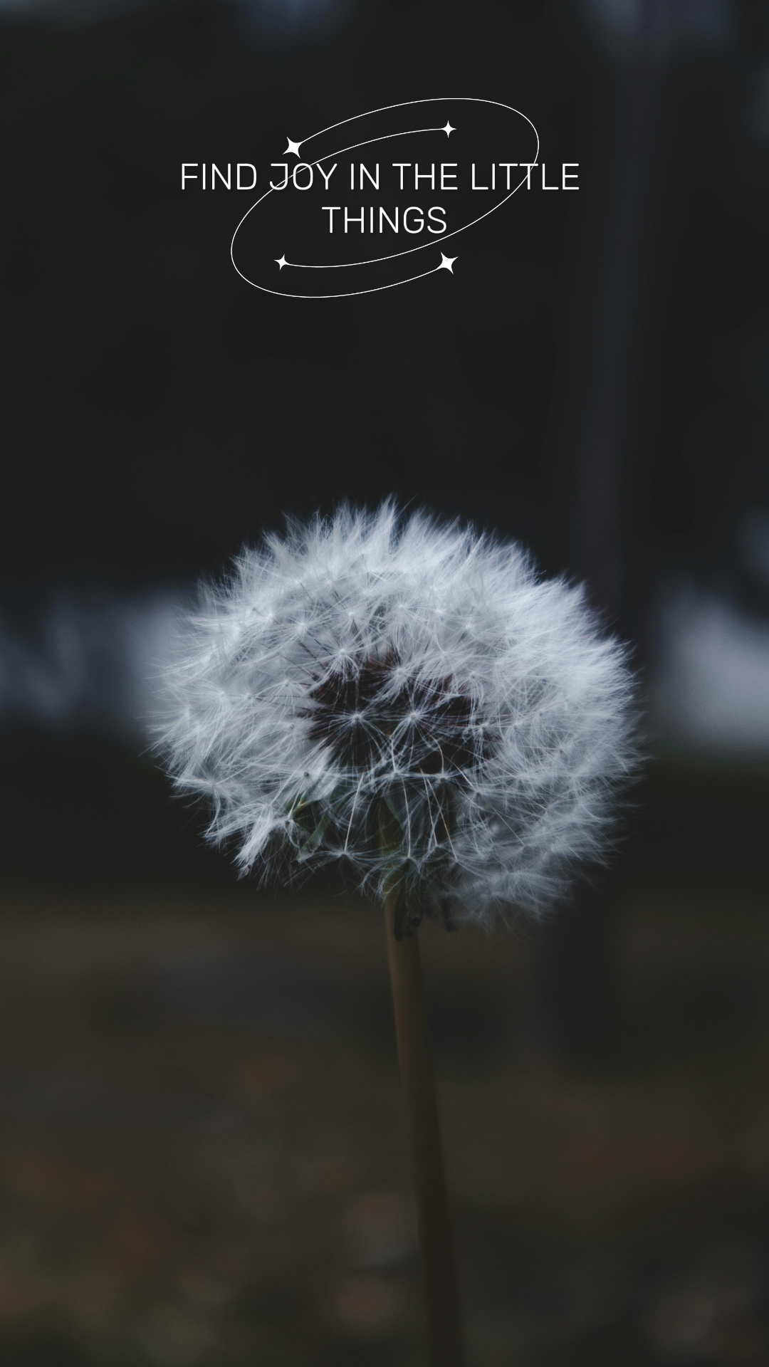 Pôster criativo de papel de parede História do Instagram Flor