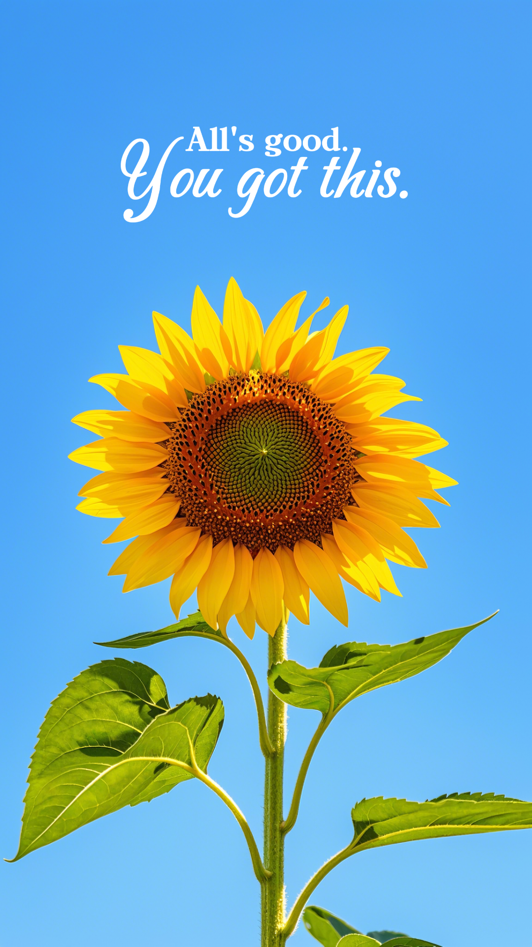 Papier peint affiche créative tournesol tu as ça