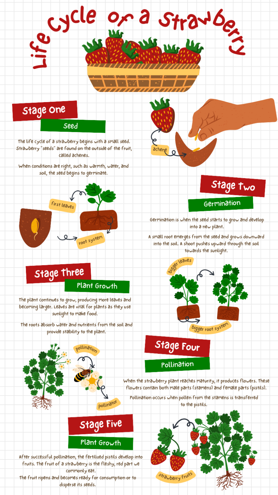 Non-marketing Infographics
