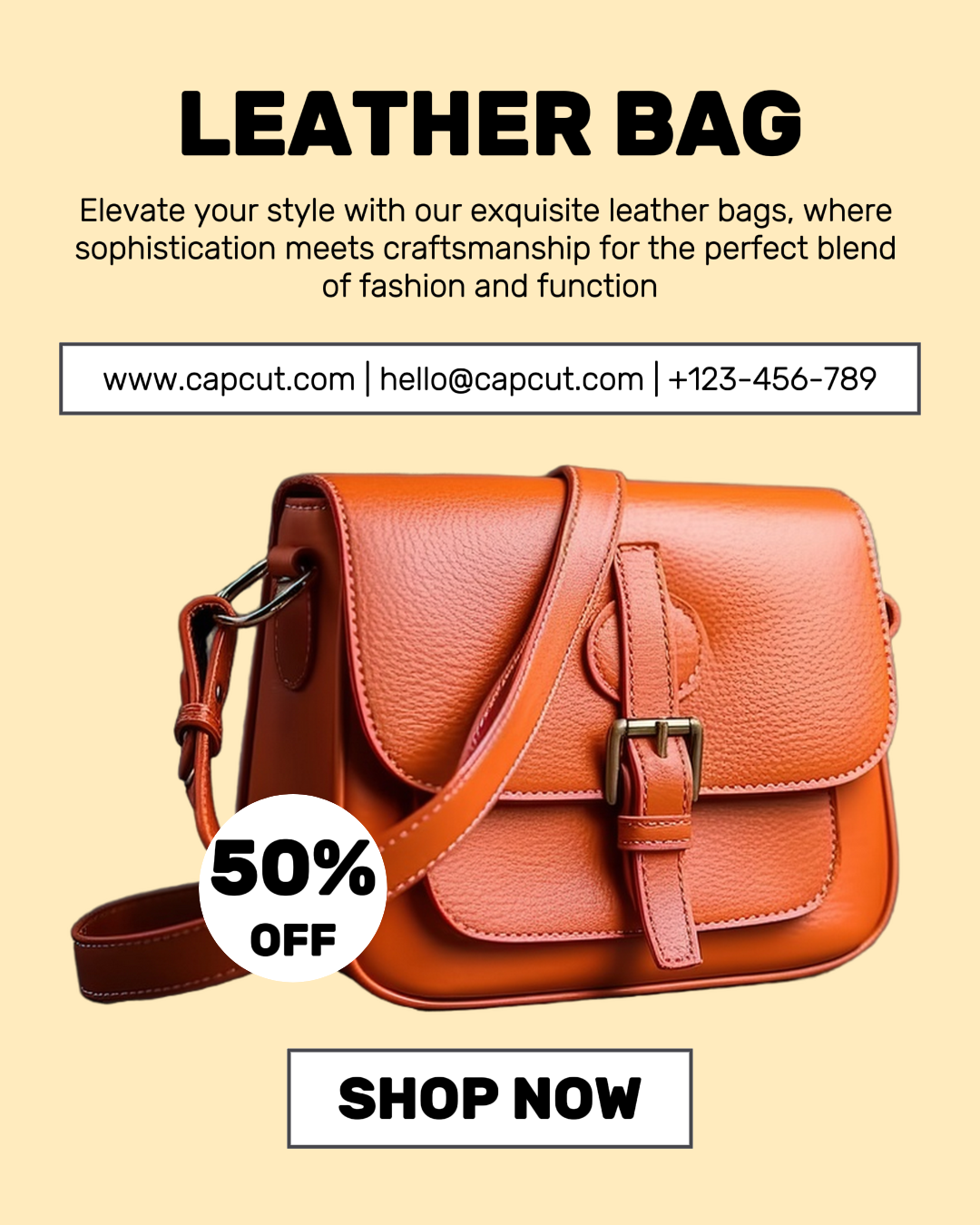 FASHION LEATHER BAG PROMOTION