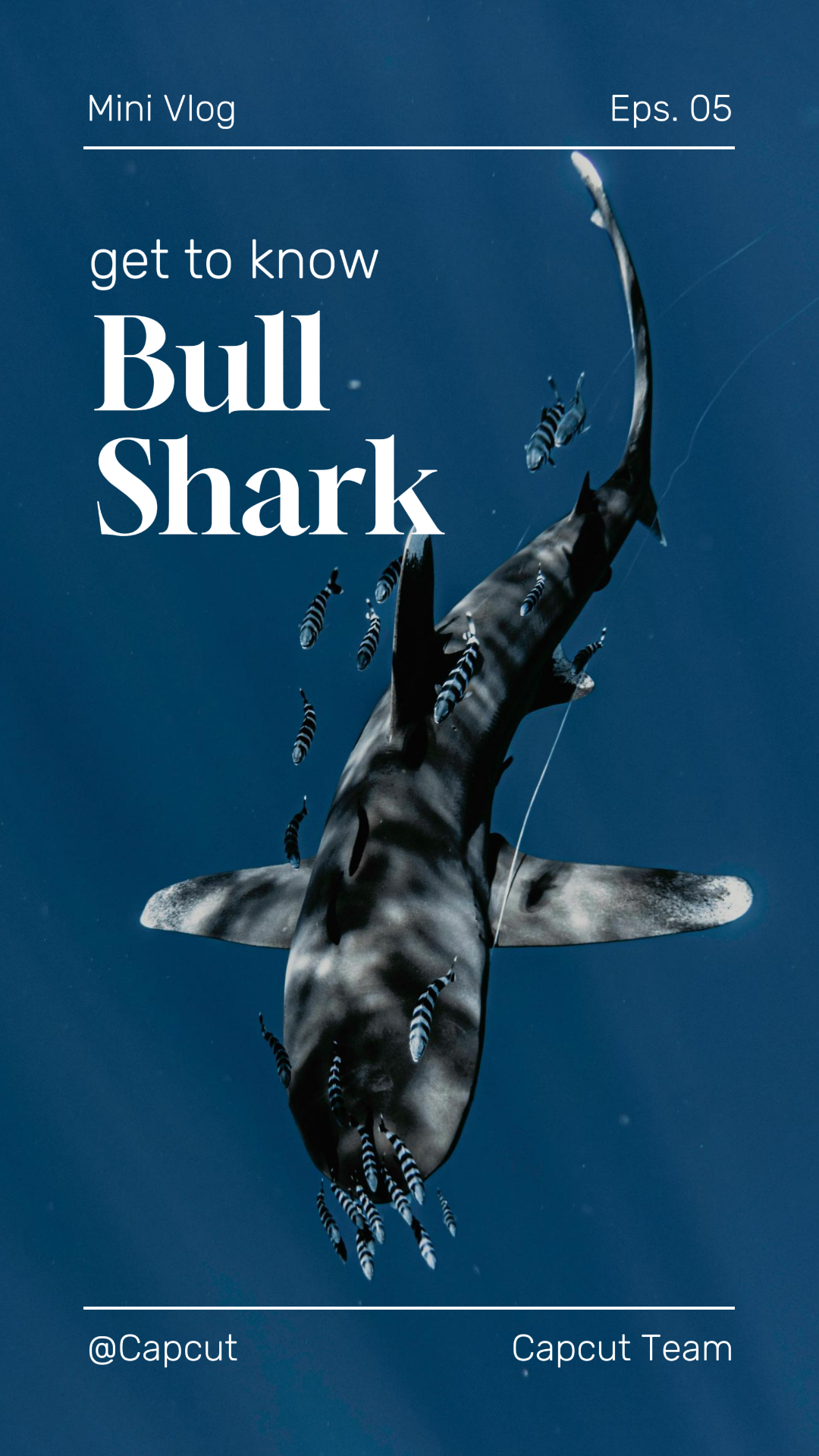 Vlog de voyage miniature tiktok bleu