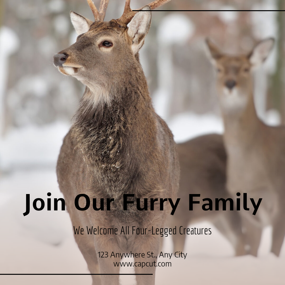 Convite Indústria Pet