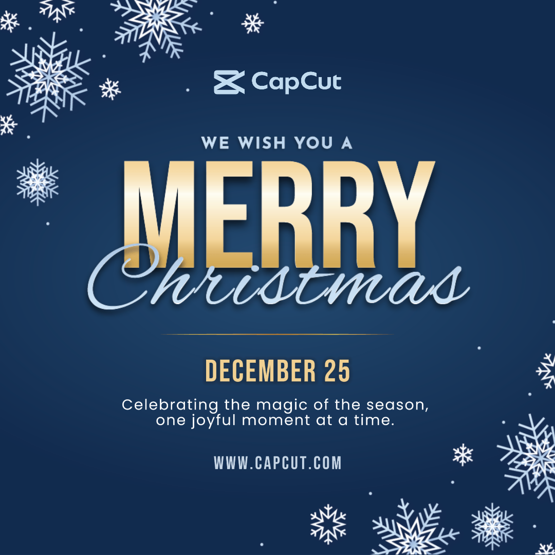 Merry Christmas Social Media Poster