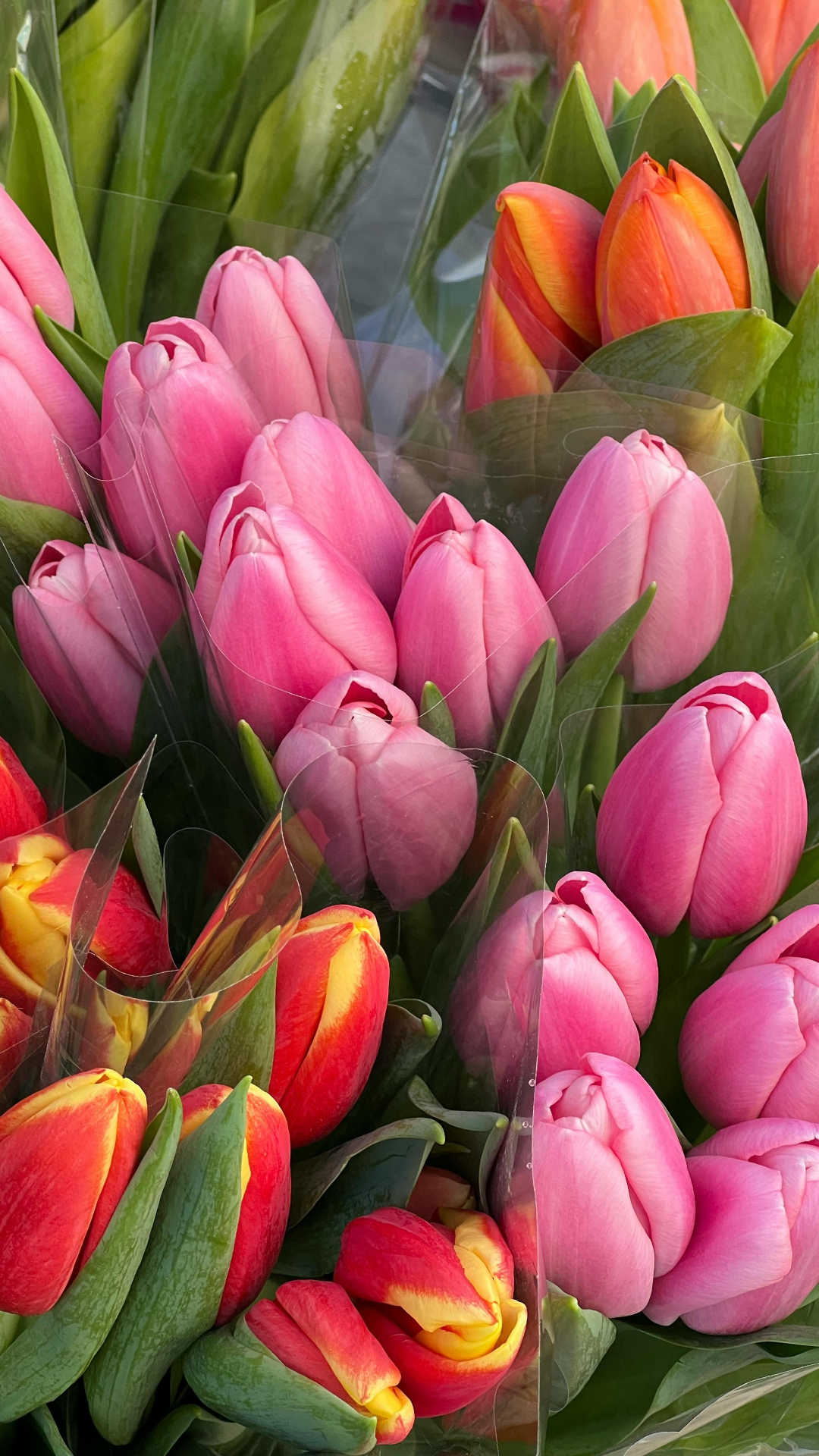 Wallpaper bunga poster kreatif