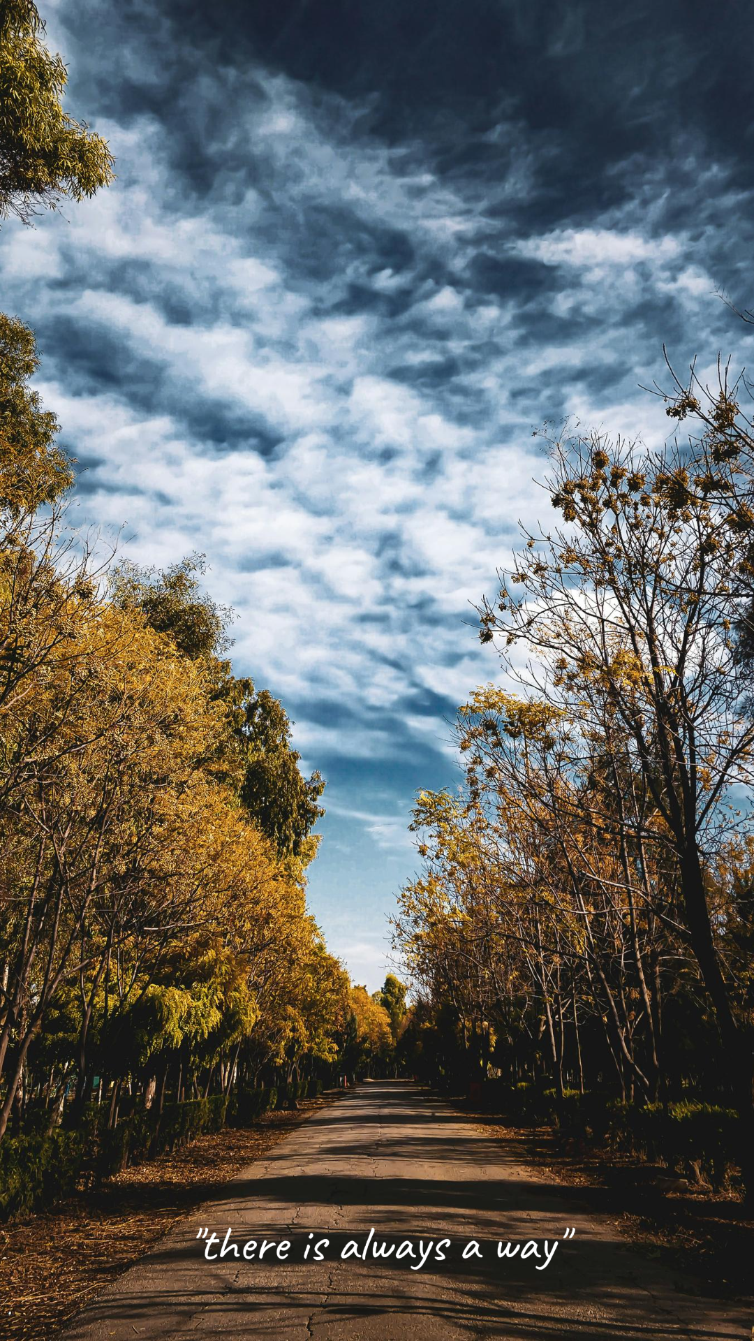 Wallpaper Creative Poster Road In The Forest