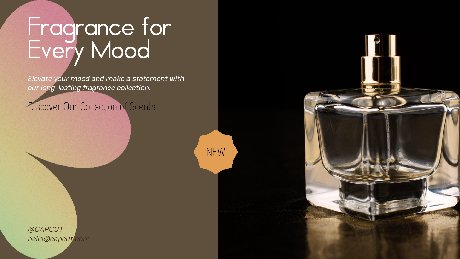 Belleza y cuidado personal Exhibición de productos