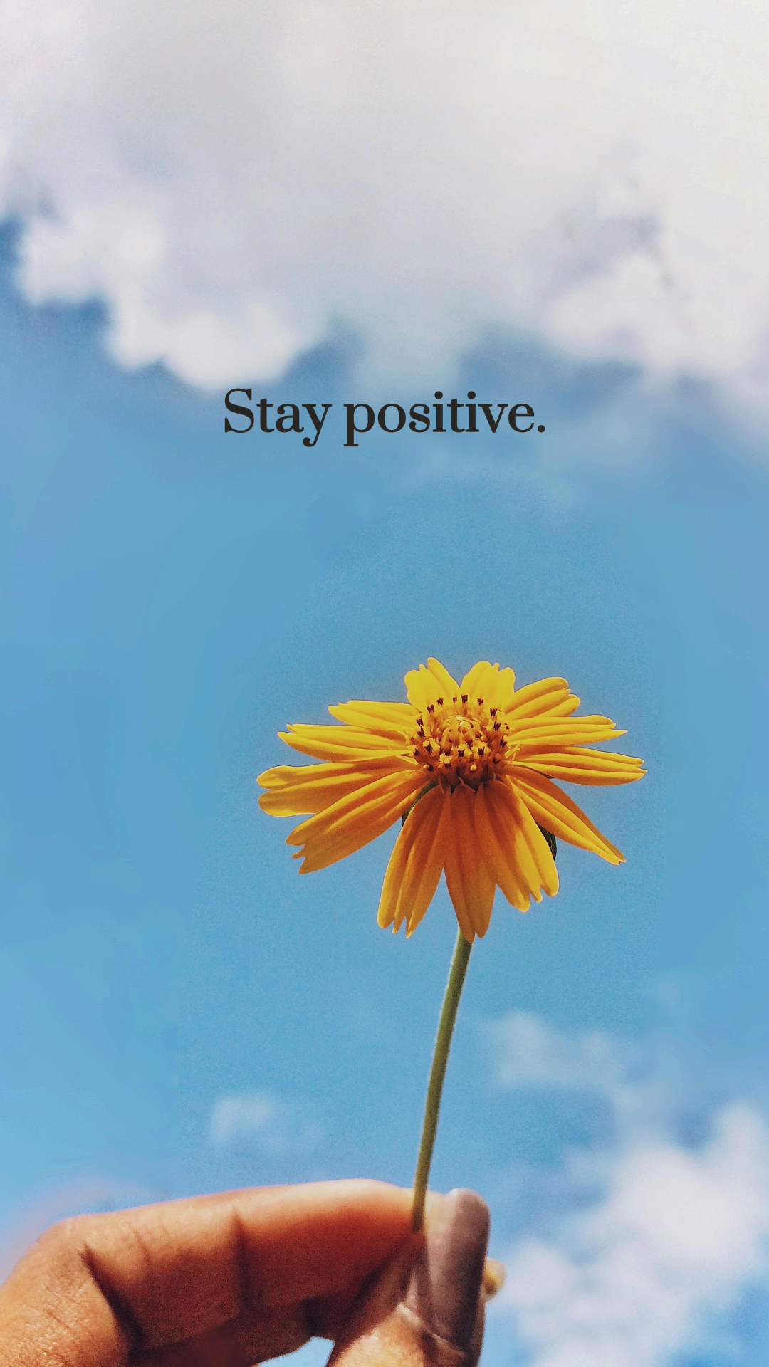 Wallpaper Creative Poster Quotes Simple Blue Yellow Flower