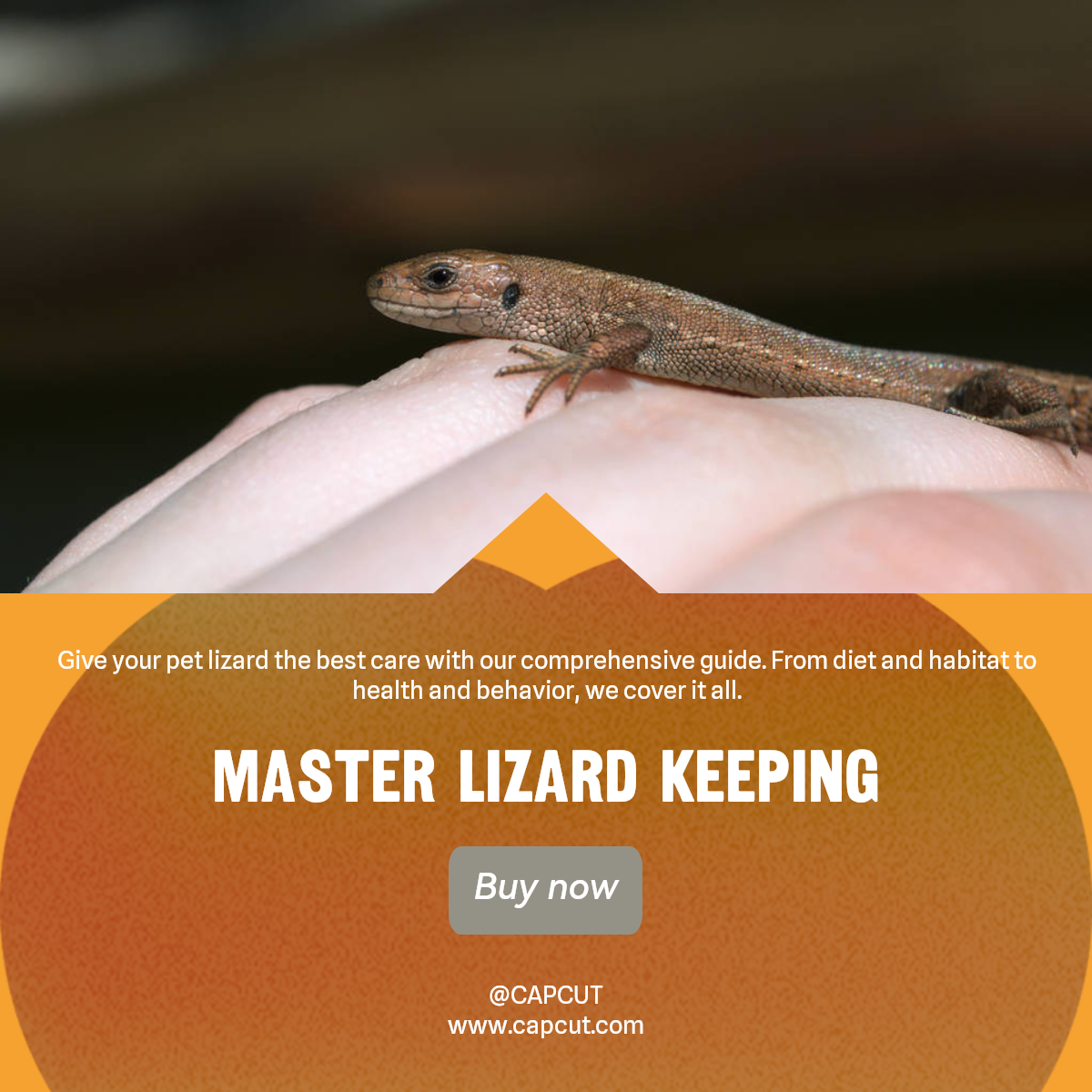 Anweisungen für die Heimtierindustrie