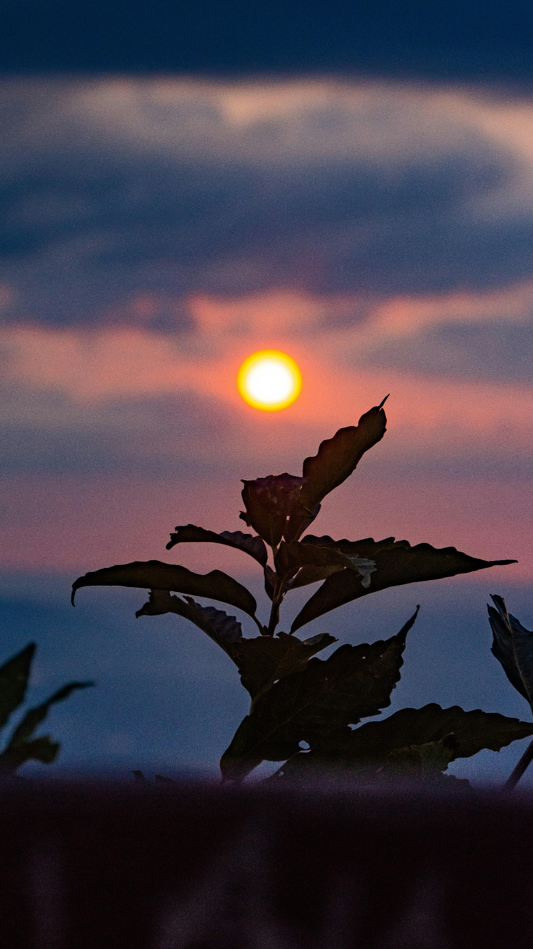 Wallpaper Creative Poster Sunset