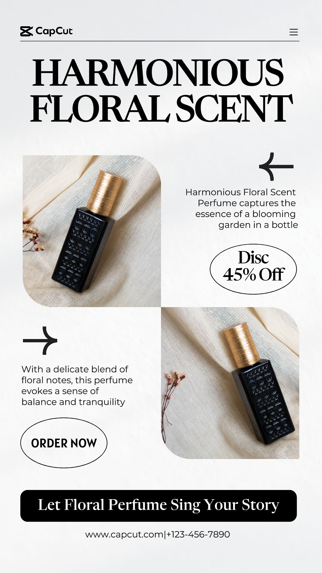 Affiche marketing soins de beauté promotion parfum soin de la peau histoire Instagram