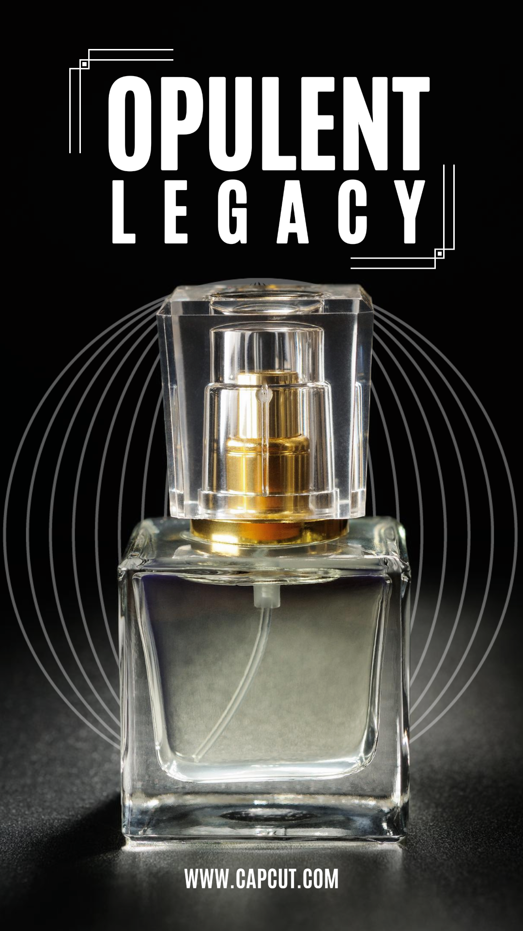 Beauty Perfume Product Display Instagram Story