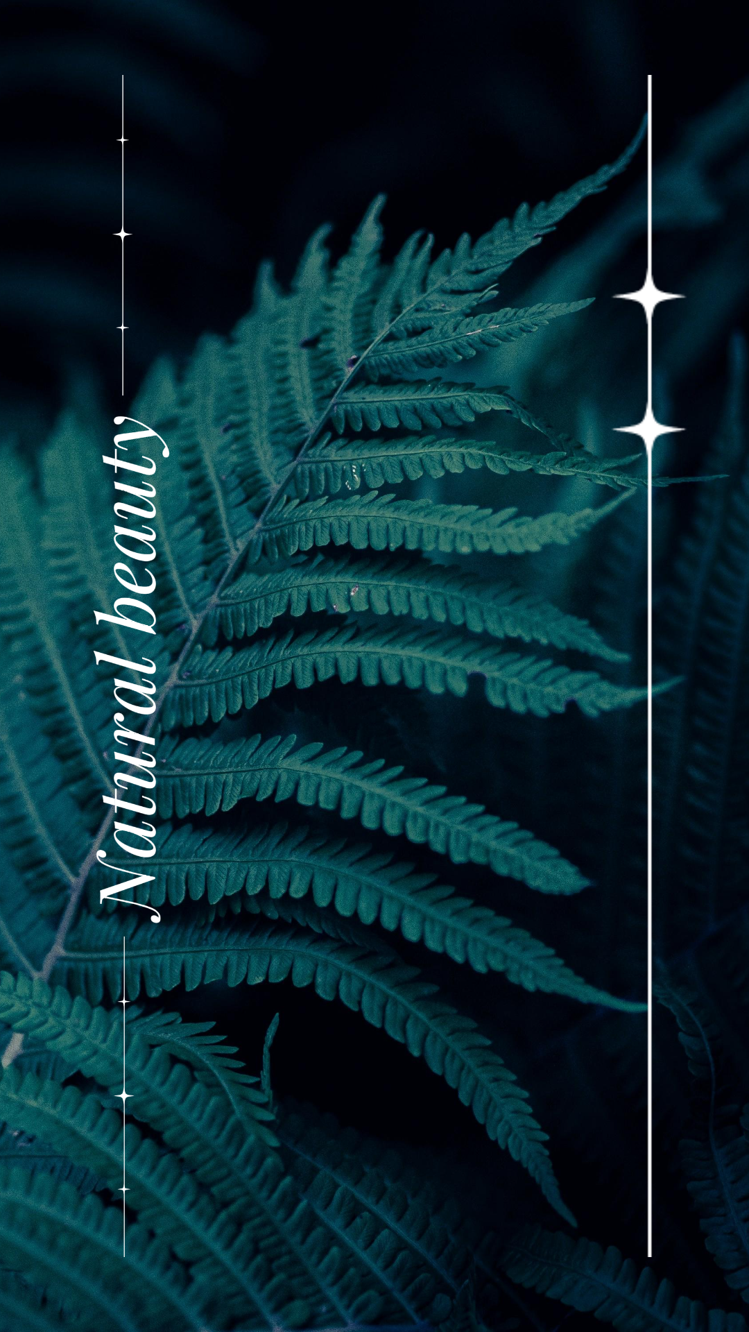 Fondo de pantalla cartel creativo planta verde