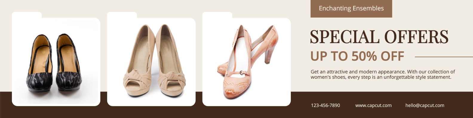 Promoción De Zapatos De Mujer Banner De LinkedIn