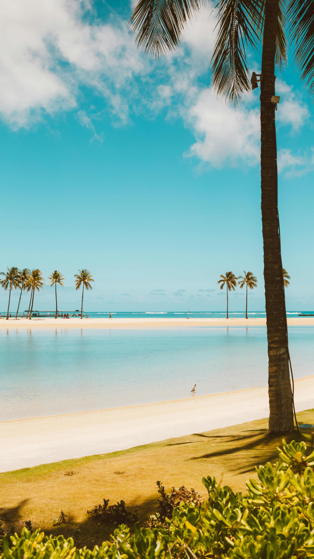 Wallpaper creative poster scenery beach blue