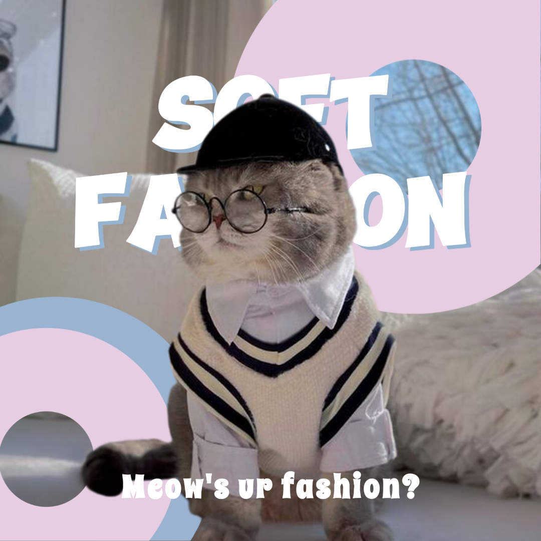 Capa Da Moda Do Gato