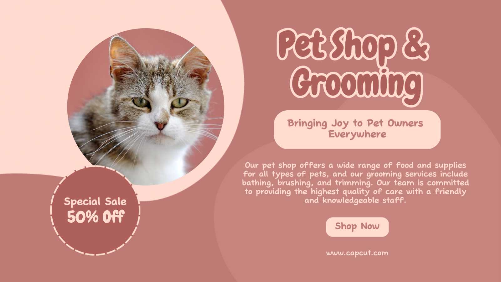 Pet Services Promotion Twitter Post