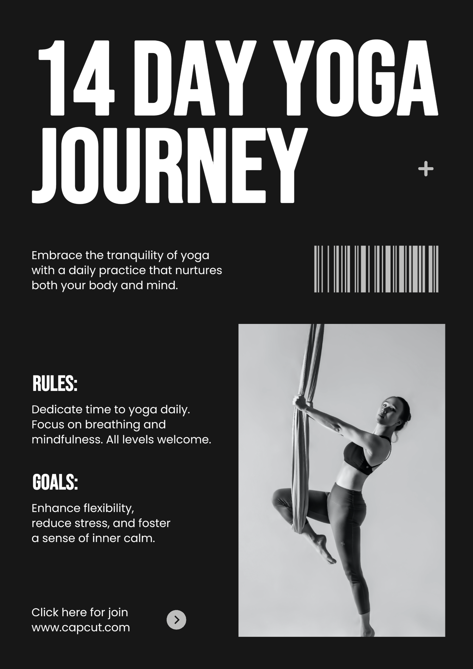 Pôster do Desafio de Treino