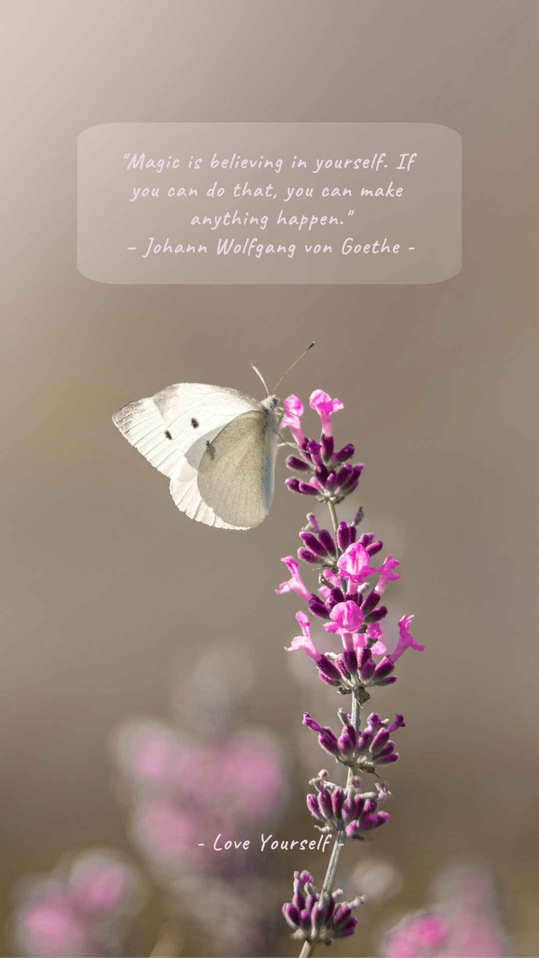 Fondo de pantalla Cartel creativo Citas de flores