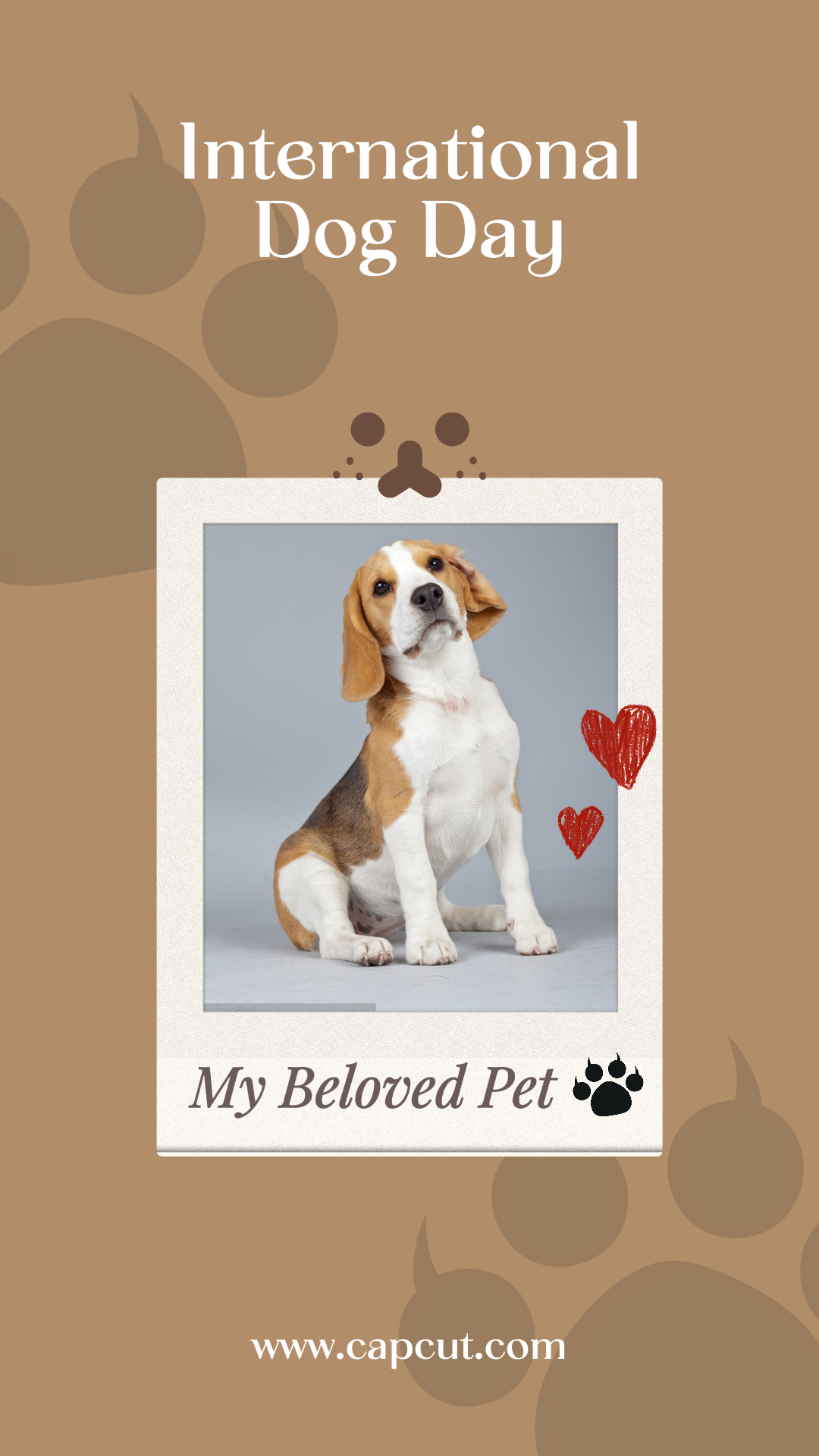 틱톡 썸네일 펫 국제 복날