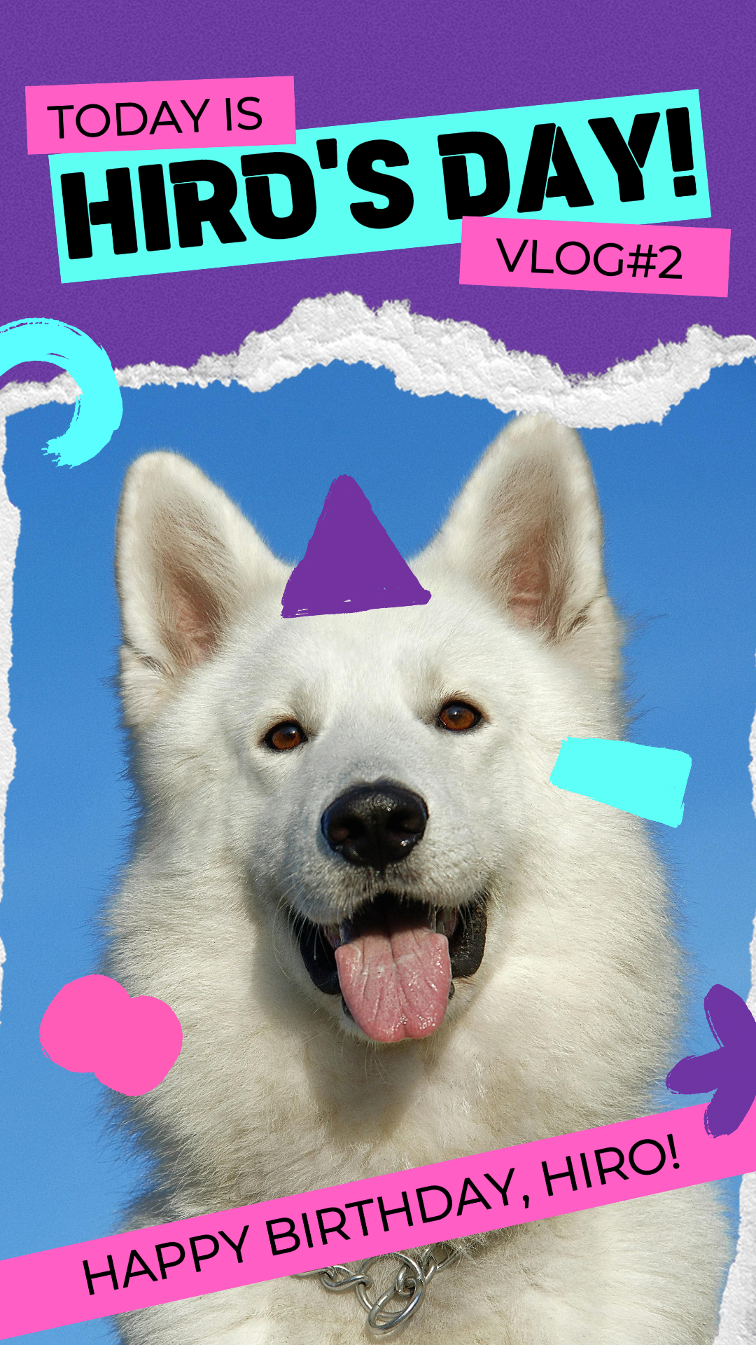 TikTok Thumbnail Haustiere Heute ist Hiros Tag!