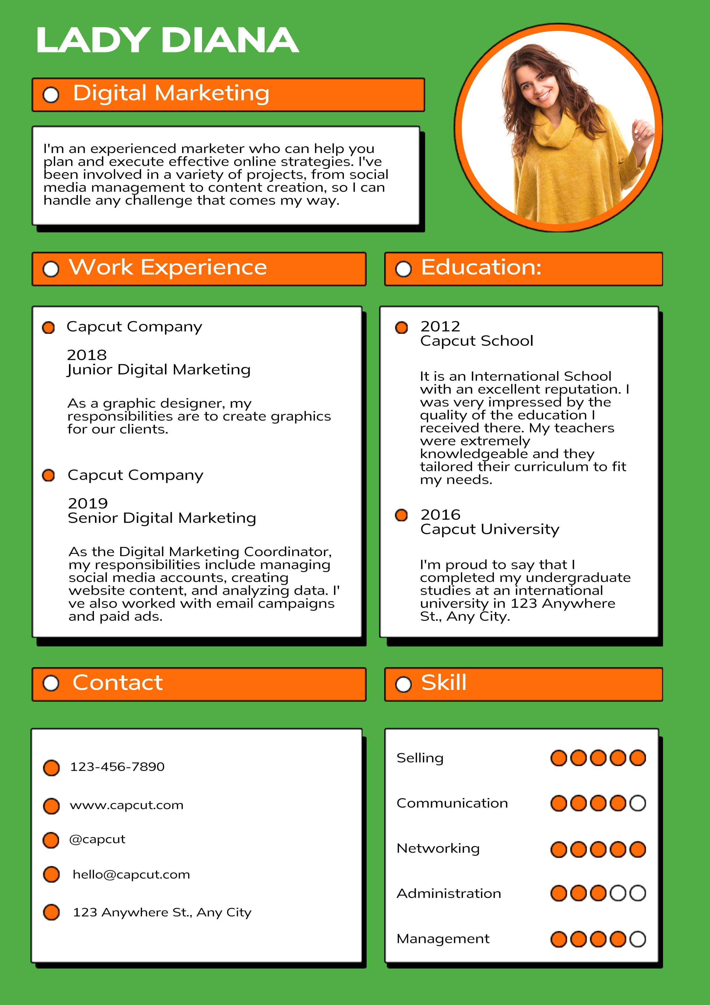 CV d'affaires Marketing numérique