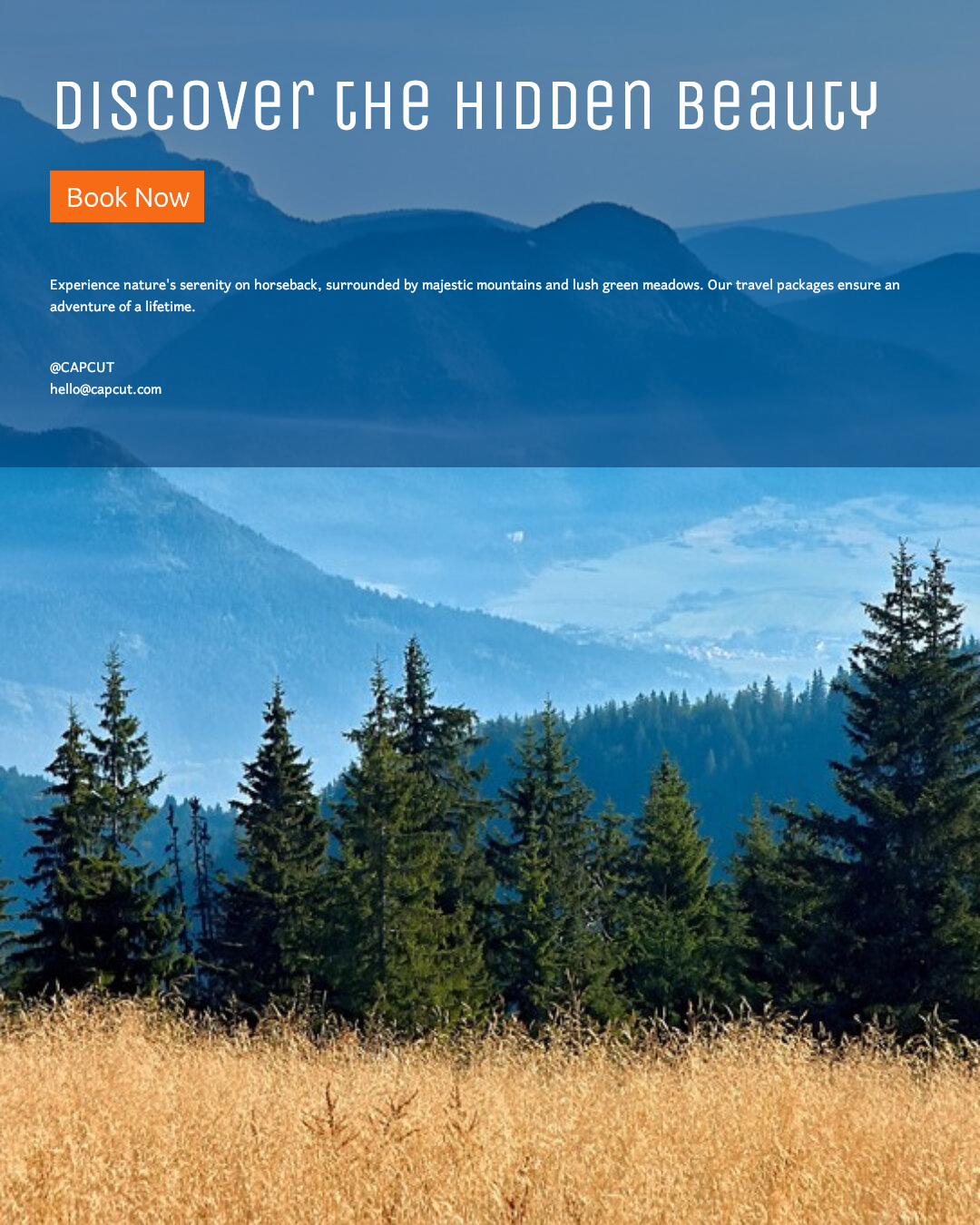 Industria de viajes General