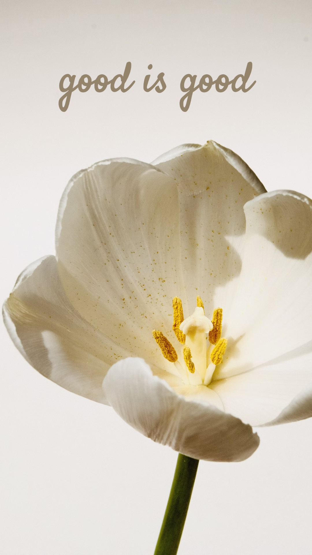 Wallpaper Creative Poster White Flower