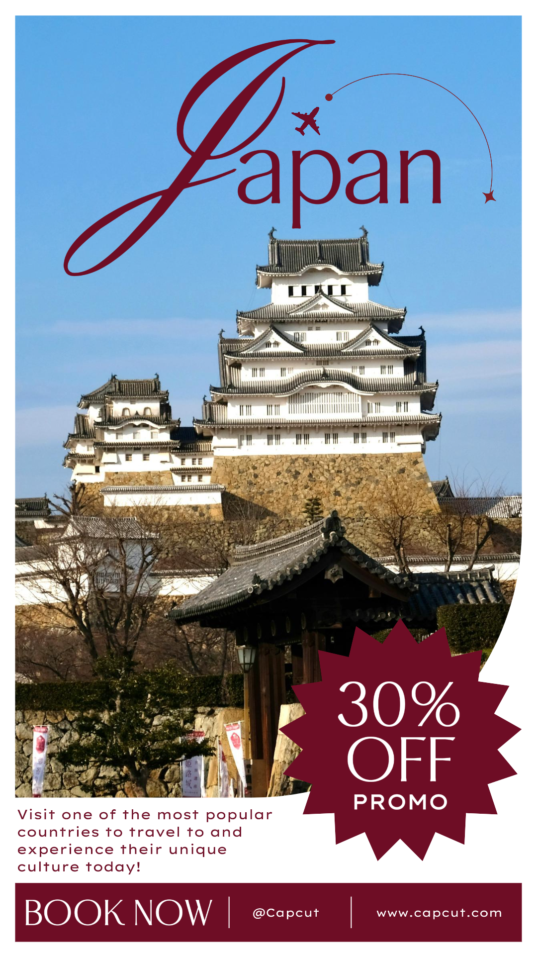 Poster Pemasaran Perjalanan Insta Story Jepang