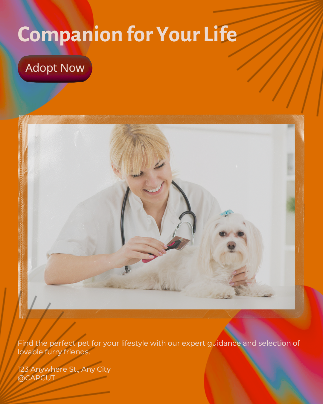 Industria de mascotas Tarjetas sociales