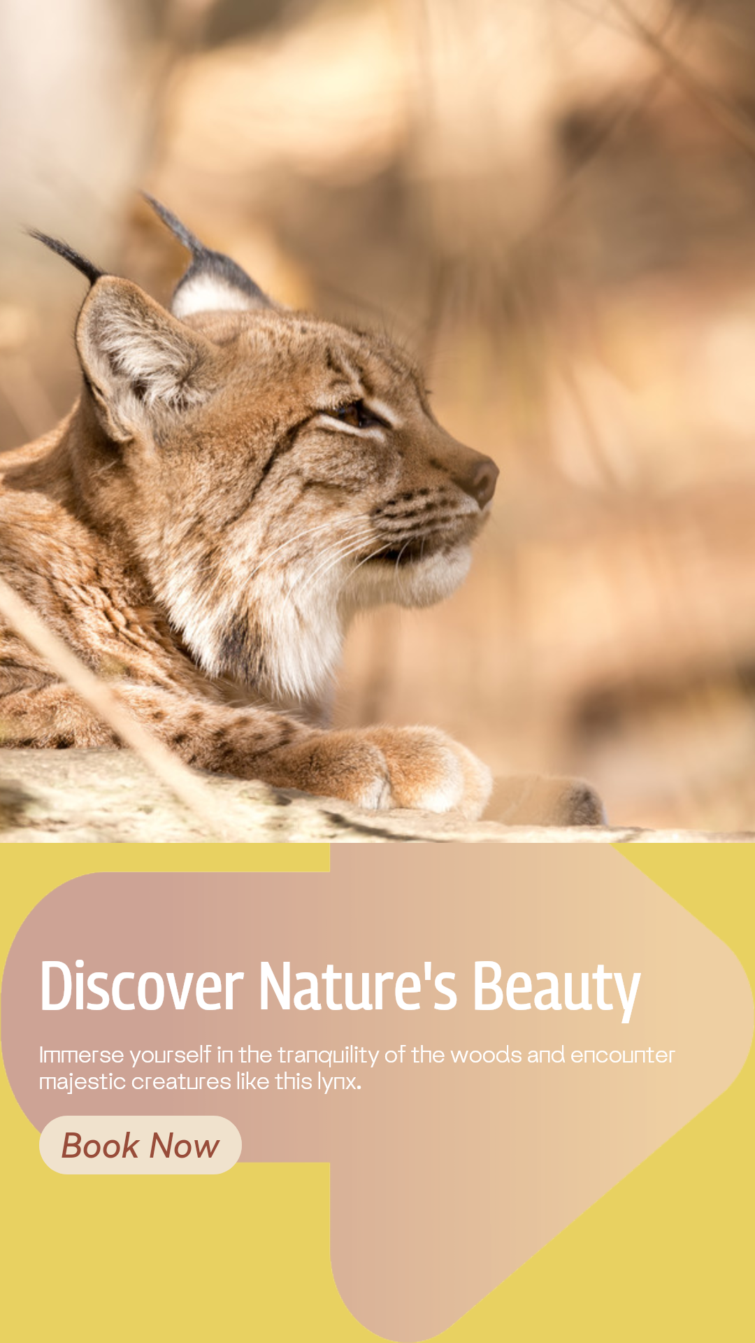 Travel industry General