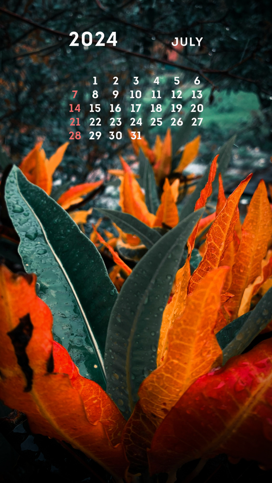 Fondo de pantalla Póster creativo Historia de Instagram Flor Floral Cita