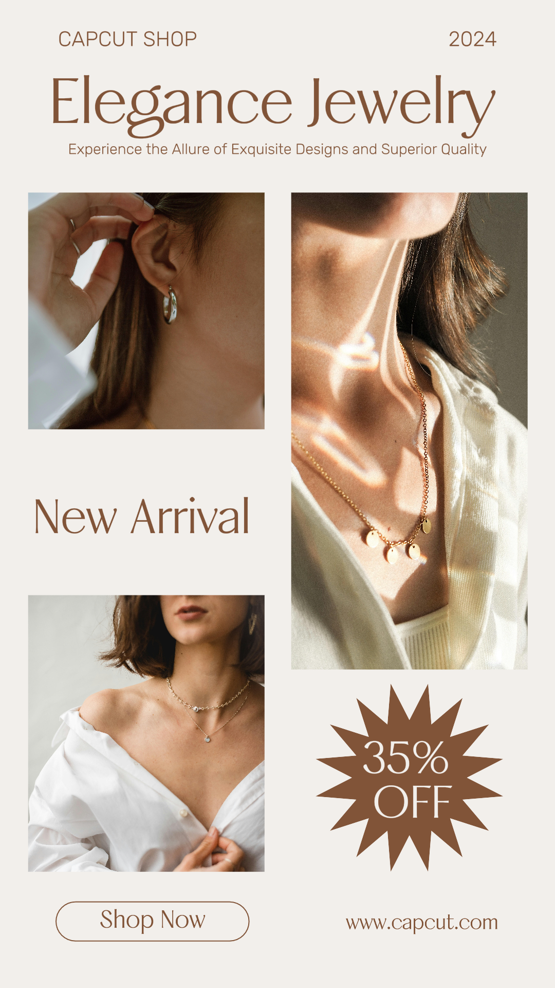 Jewelry and accessories - Marketing Poster Promotion Instagram Story