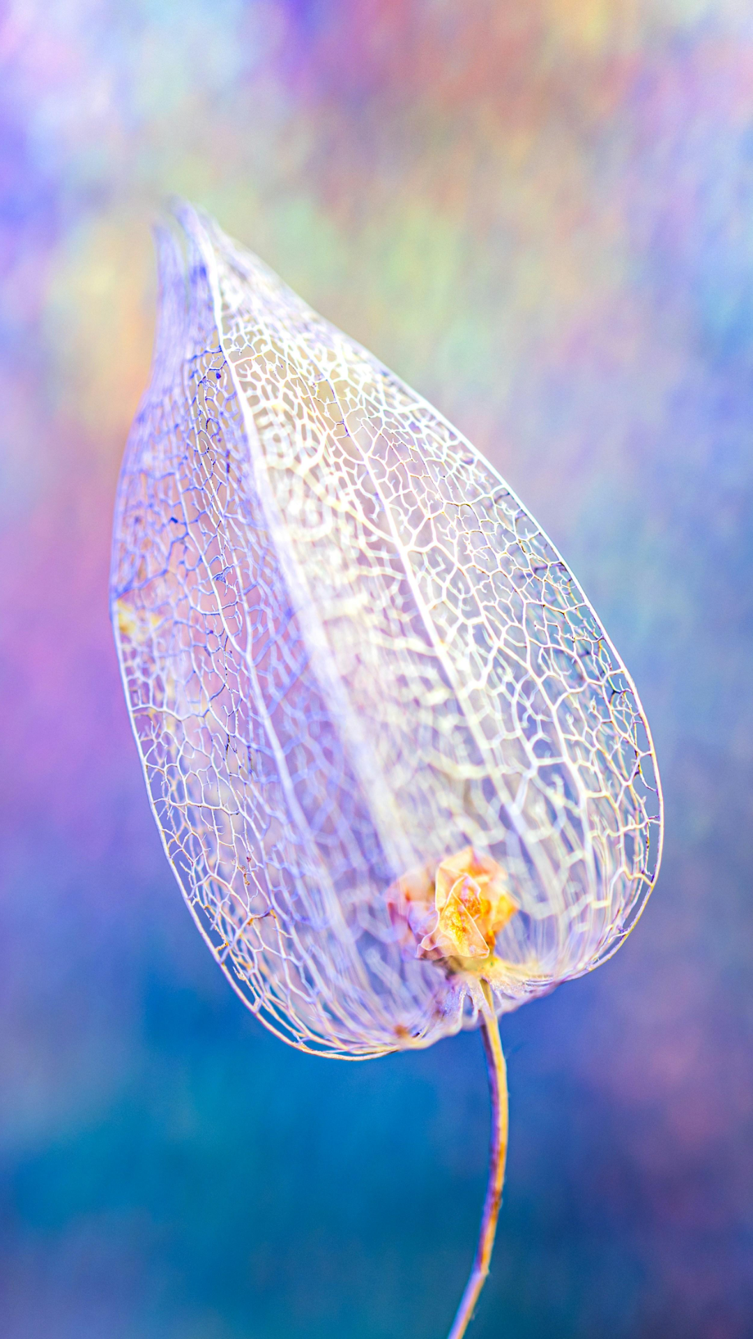 Wallpaper creative poster flower