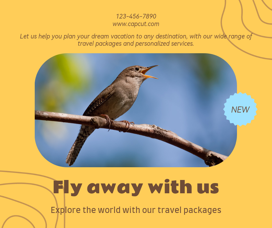 Indústria de viagens Geral