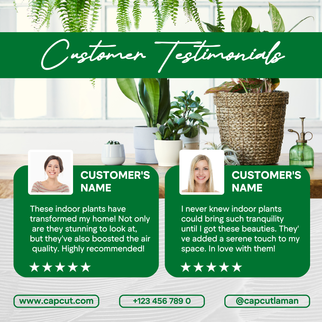 Minimalist template design for indoor plant business testimonials for Instagram posting needs
