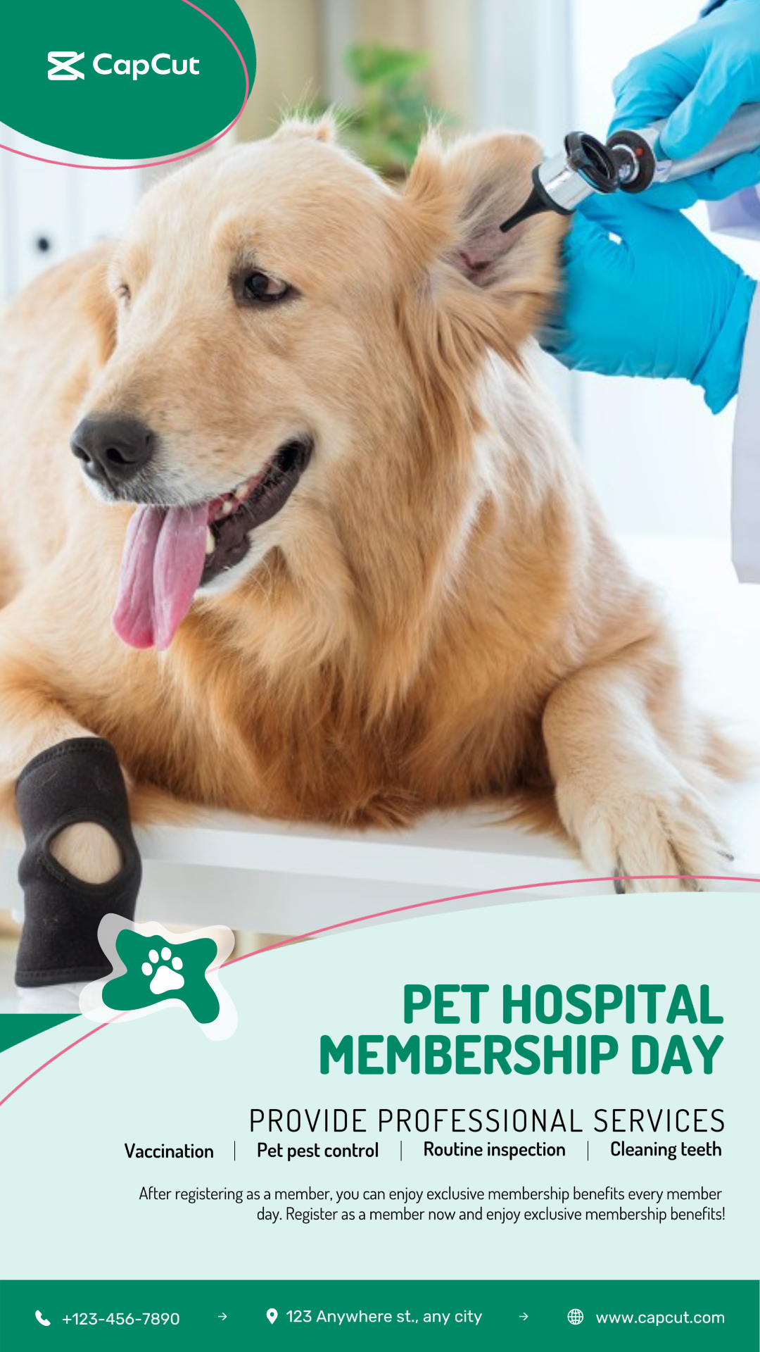 Show zum Tag der Haustiermitgliedschaft Minimalistisch 