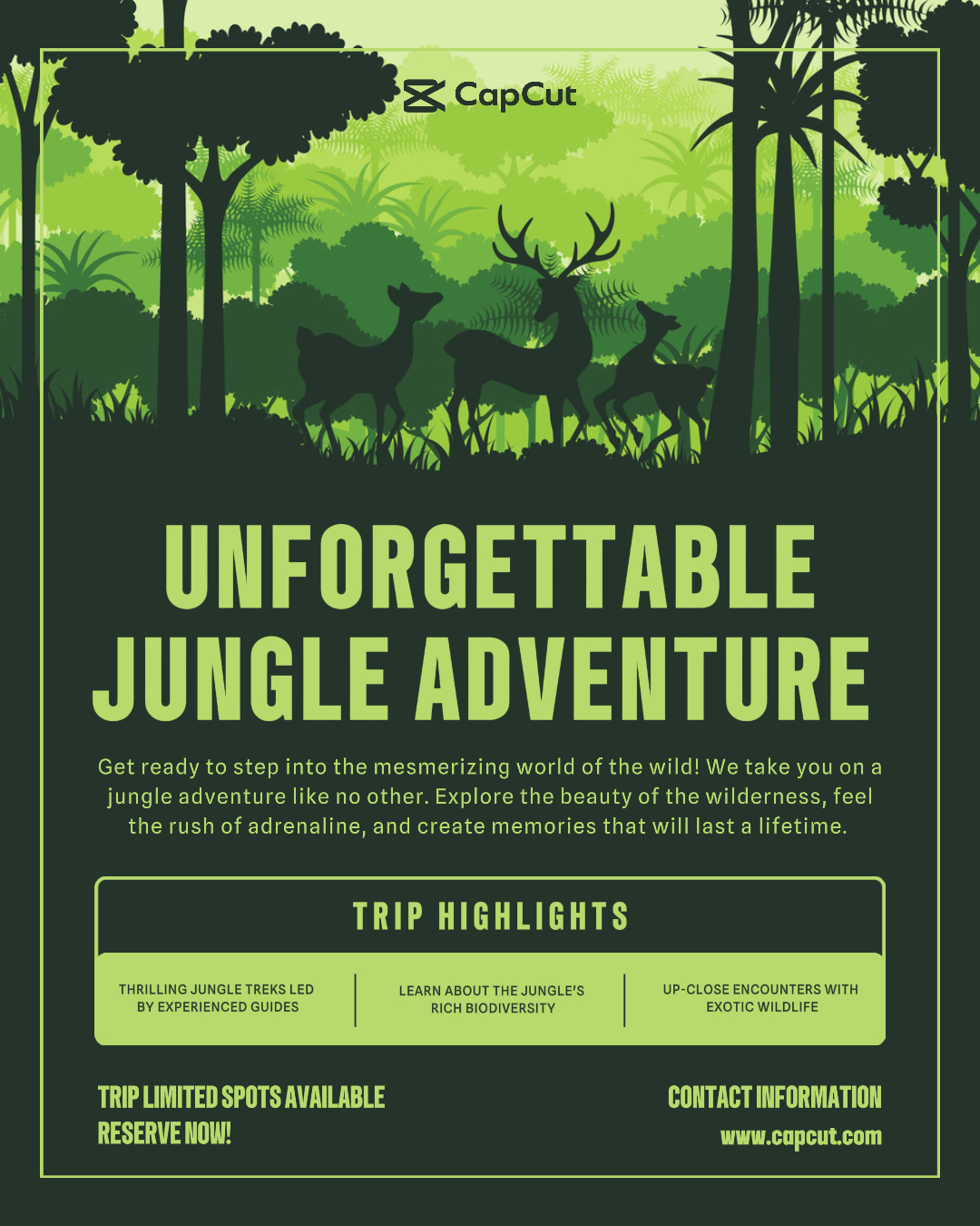 Other Industries Jungle Adventure Product Display Instagram Post