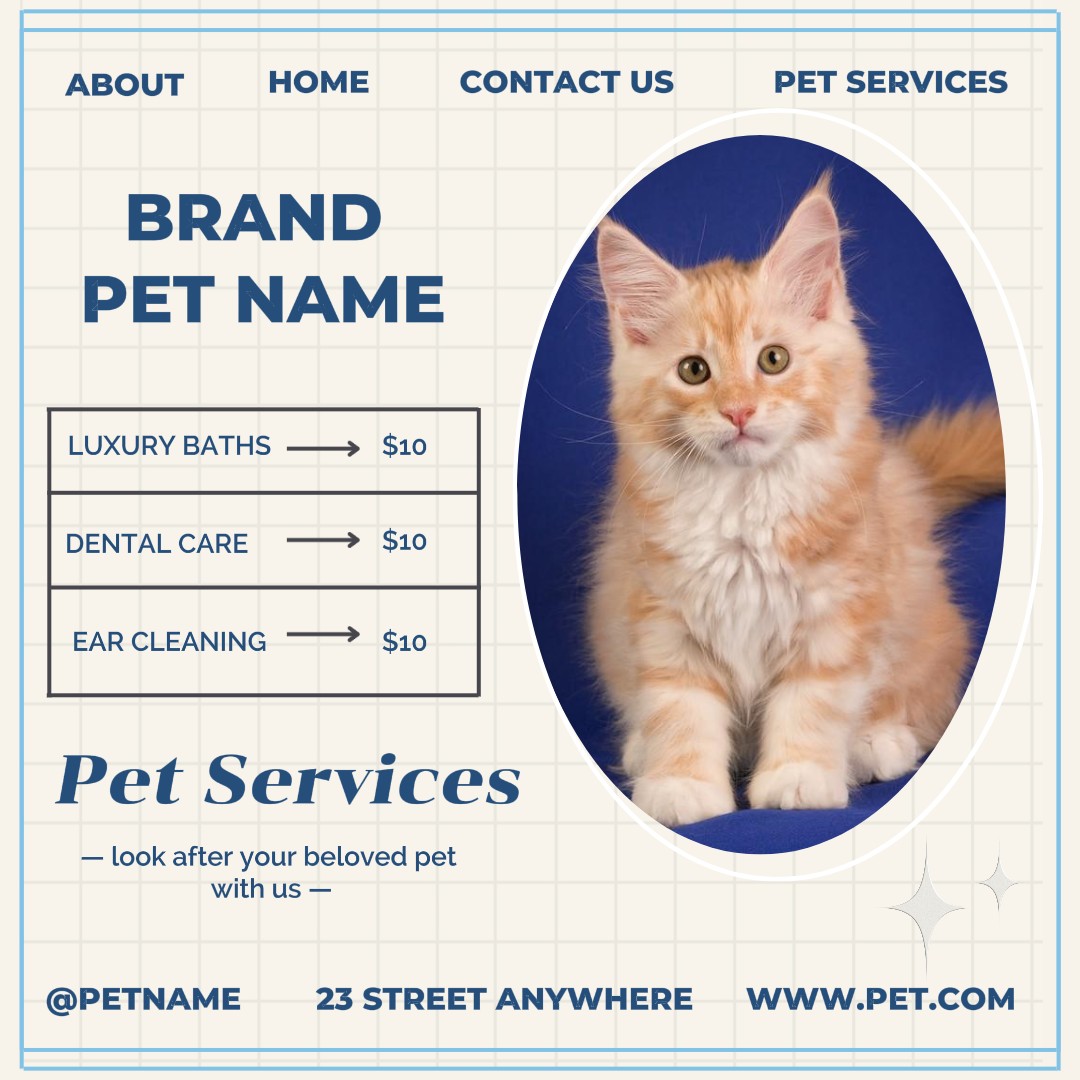 Pet Services Display Instagram Feed