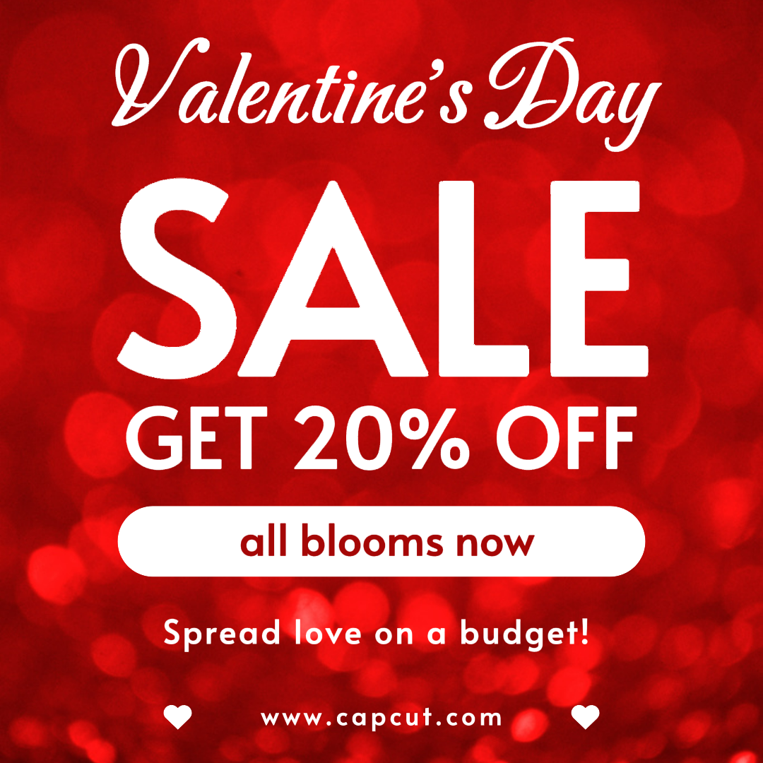 Réduction pour la Saint-Valentin sur Instagram Post Rouge