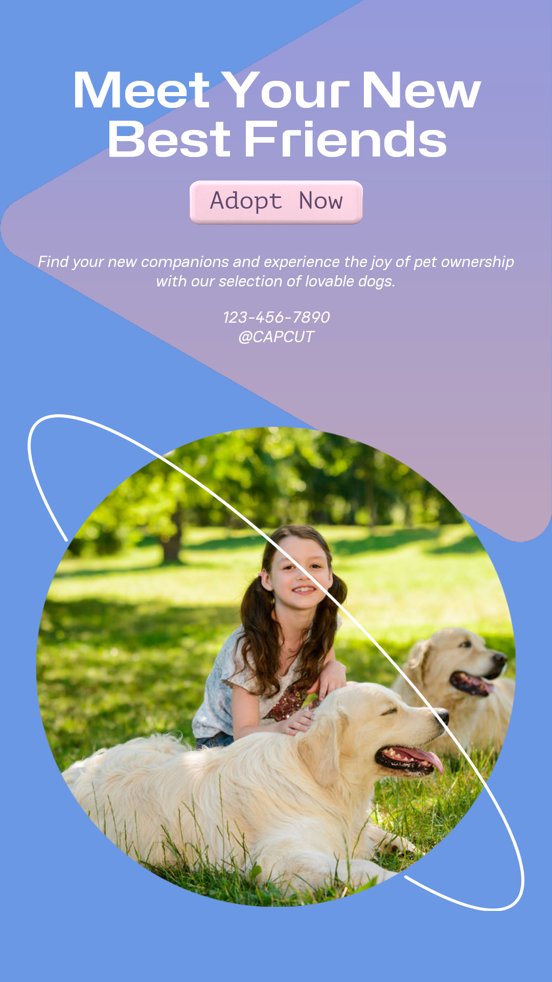 Pet industry New arrivals