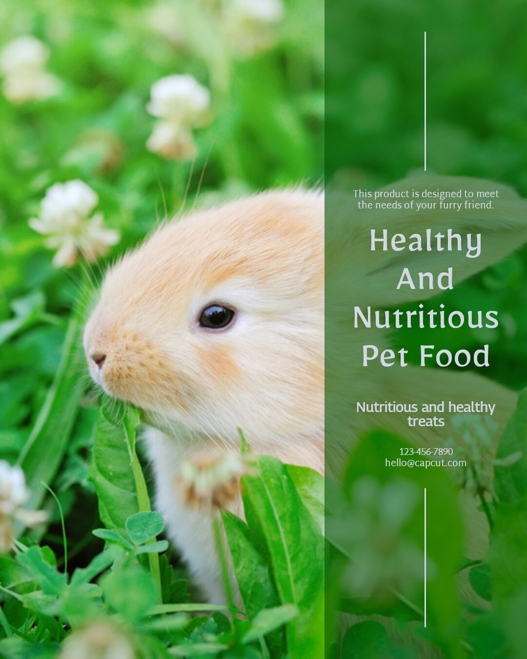 Pet industry Effect Display