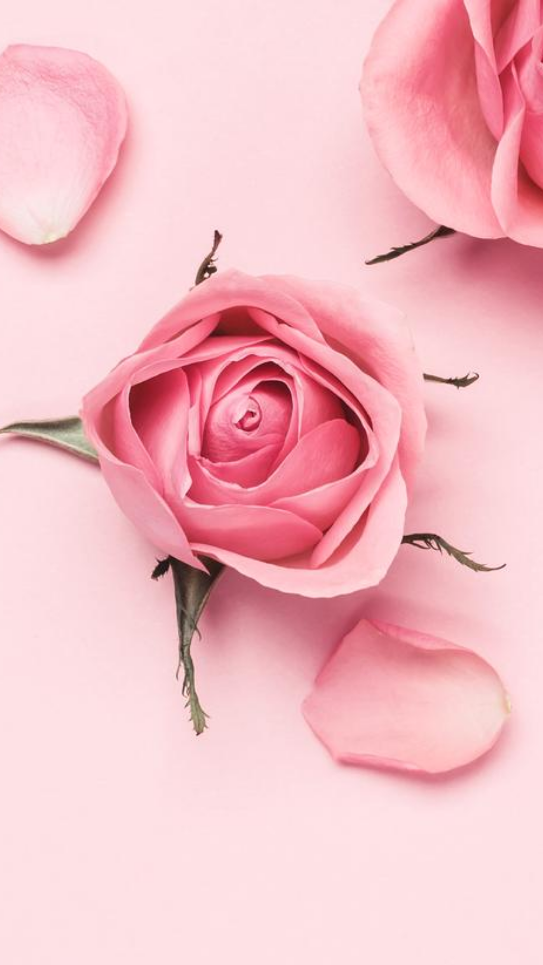 Papel de parede criativo cartaz flores