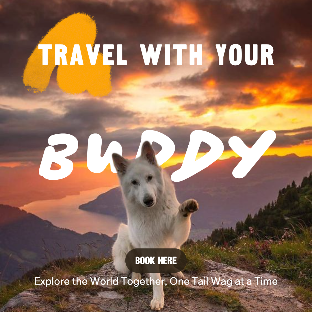 Voyagez avec votre chien App Intro